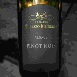 Pinot Noir - Domaine Muller-Koeberle - David Koeberle 