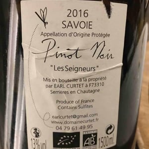 Pinot Noir - Marie et Florian Curtet Vignerons - marie-florian-curtet