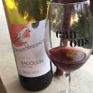 Pinot Noir - Badoulin - Stéphan Elzière - Stéphan Elzière 