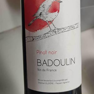 Pinot Noir - Badoulin - Stéphan Elzière - Stéphan Elzière 