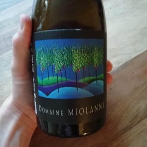 Pinot Noir - Domaine Miolanne - Jean-Baptiste Deroche & Laure Cartier 