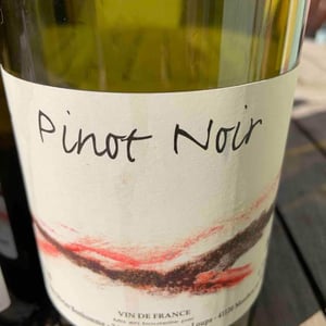 Pinot Noir - Domaine POB - Pierre-Olivier Bonhomme 