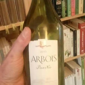 Pinot Noir - Domaine de la Pinte - Pierre Martin 