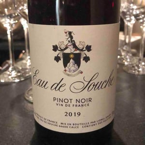 Pinot Noir - Eau De Souche - Lionel Gauby -2019