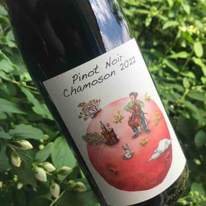 Pinot Noir Chamoson