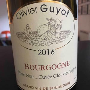 Pinot Noir Clos des Vignes - Olivier Guyot - olivier-guyot