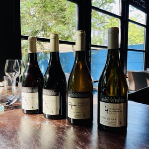 Pinot Noir - Domaine Des Marnes Blanches - pauline-geraud-fromont