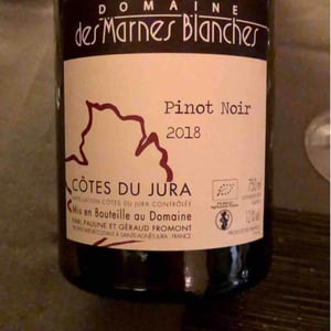 Pinot Noir - Domaine Des Marnes Blanches - Pauline & Géraud Fromont 