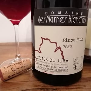 Pinot Noir - Domaine Des Marnes Blanches - pauline-geraud-fromont