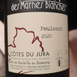 Pinot Noir - Domaine Des Marnes Blanches - Pauline & Géraud Fromont 