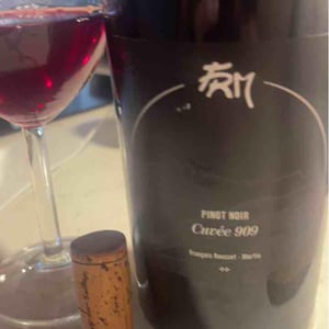 Pinot Noir - "Cuvée 909" - FRM - François Rousset-Martin 
