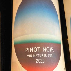 Pinot Noir - Famille Hebinger - Christian, Véronique et Denis Hebinger 