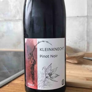 Pinot Noir - Domaine Kleinknecht - André Kleinknecht 