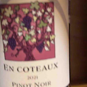 Pinot Noir "En Coteaux" - Jeff Carrel - jeff-carrel