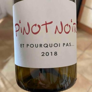 Pinot Noir Et Pourquoi Pas.. - Les Vignes de Paradis - dominique-lucas