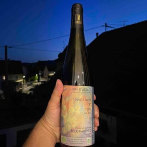 Pinot Noir "F" - Florian & Mathilde Beck-Hartweg - Florian & Mathilde Beck-Hartweg 