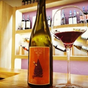 Pinot Noir "F" - Vincent Fleith - brigitte-et-vincent-fleith