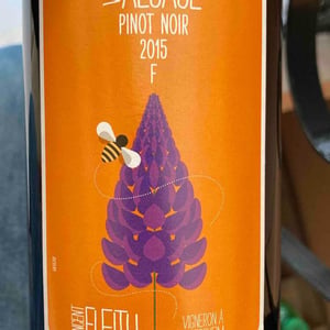 Pinot Noir "F" - Vincent Fleith - brigitte-et-vincent-fleith