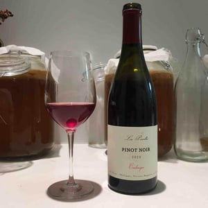 Pinot Noir - Les Têtes - philippe-mesnier-vivien-blot-baptiste-lardeux