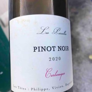 Pinot Noir - Les Têtes - philippe-mesnier-vivien-blot-baptiste-lardeux
