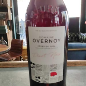Pinot Noir - Domaine Overnoy - guillaume-overnoy