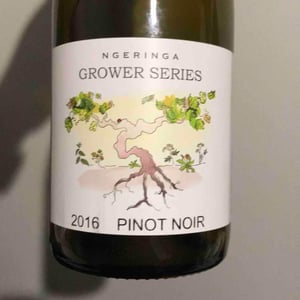 Pinot Noir - Ngeringa - janet-erinn-klein
