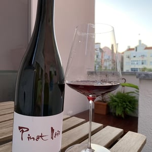 Pinot Noir - Sarnin-Berrux - Jean-Pascal Sarnin & Jean-Marie Berrux 