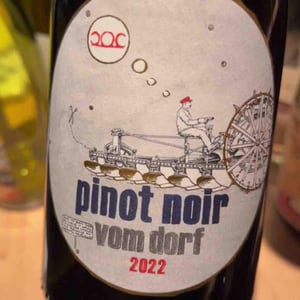Pinot Noir - Weingut Pittnauer - Gerhard & Brigitte Pittnauer 