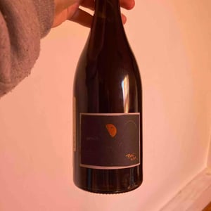 Pinot Noir - Bencze Birtok - István Bencze 