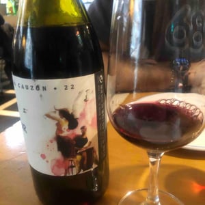 Pinot Noir - Bodega Cauzon - Ramón Saavedra 
