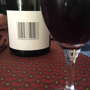 Pinot Noir - Domaine des Maisons Brûlées - Corinne & Paul Gillet 