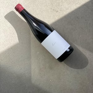 Pinot Noir - Weingut Claus Preisinger - claus-preisinger