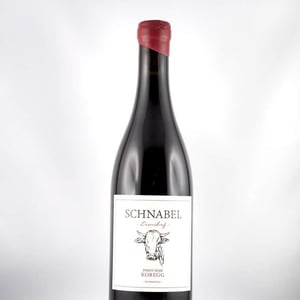 Pinot Noir Koregg - Weingut Karl Schnabel - karl-eva-schnabel -2019