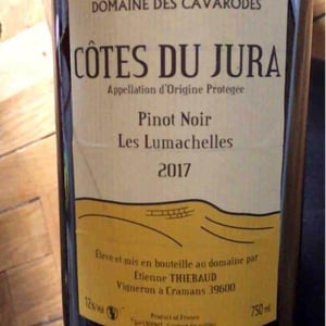 Domaine des Cavarodes - Etienne Thiebaud - Pinot Noir Les Lumachelles