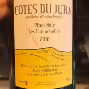 Domaine des Cavarodes - Etienne Thiebaud - Pinot Noir Les Lumachelles