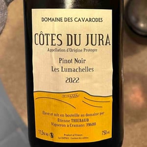 Pinot Noir Les Lumachelles - Domaine des Cavarodes - Etienne Thiebaud 