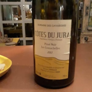 Domaine des Cavarodes - Etienne Thiebaud - Pinot Noir Les Lumachelles