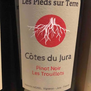 Pinot Noir Les Trouillots - Les Pieds Sur Terre - Valentin Morel 