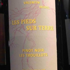 Pinot Noir Les Trouillots - Les Pieds Sur Terre - Valentin Morel 