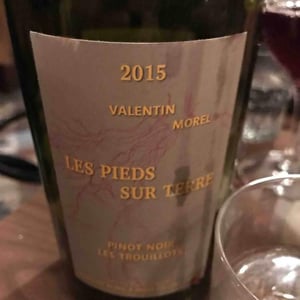 Pinot Noir Les Trouillots - Les Pieds Sur Terre - Valentin Morel 