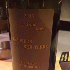 Pinot Noir Les Trouillots - Les Pieds Sur Terre - Valentin Morel 