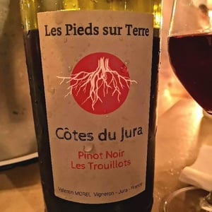 Pinot Noir Les Trouillots - Les Pieds Sur Terre - Valentin Morel 