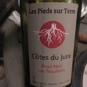 Pinot Noir Les Trouillots - Les Pieds Sur Terre - valentin-morel