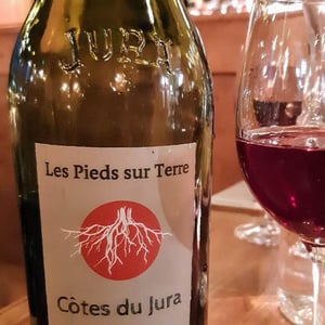 Pinot Noir Les Trouillots - Les Pieds Sur Terre - valentin-morel