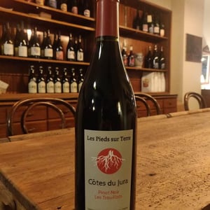 Pinot Noir Les Trouillots - Les Pieds Sur Terre - valentin-morel