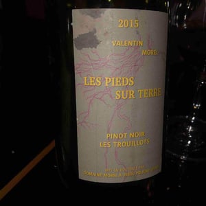 Pinot Noir Les Trouillots - Les Pieds Sur Terre - Valentin Morel 