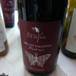 Pinot Noir Lieu-dit Kalkofen - Domaine Clé de Sol - Jean & Simon Baltenweck & Yannick Mignot 
