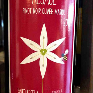 Pinot Noir MARIUS - Vincent Fleith - Brigitte et Vincent Fleith 