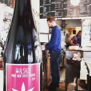 Pinot Noir MARIUS - Vincent Fleith - brigitte-et-vincent-fleith