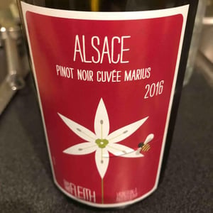Pinot Noir MARIUS - Vincent Fleith - Brigitte et Vincent Fleith 